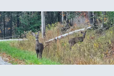 10 Lake Vista Drive, Oakland, ME 04963 - Photo 1