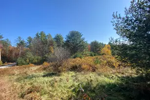 Lot 8 Moose Ln, Bethel, ME 04217 - Photo 1