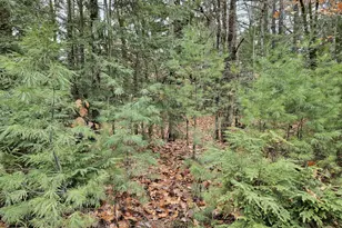 M5 L38 Winding Hill Rd, Norridgewock, ME 04957 - Photo 1