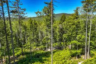 Lot 39 Sawyer Notch Rd, Andover, ME 04216 - Photo 1
