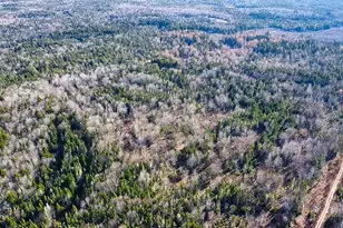 Map 04 Lots #2-15 2-16 Yellow Birch Rd, Whiting, ME 04691 - Photo 1