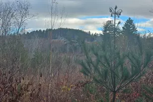 L52 Bridgton Rd, Sweden, ME 04009 - Photo 1