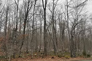 Lot 104 Hornbeam Ridge Rd, Dexter, ME 04930 - Photo 1