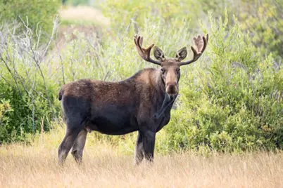 1 W Side Drive, Rangeley, ME 04964 - Photo 1