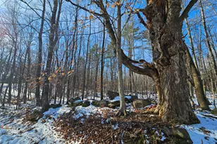 R09-L13-3 Ski Slope Rd, Farmington, ME 04938 - Photo 1