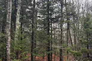 Lot 129 Harpswell Neck Rd, Harpswell, ME 04079 - Photo 1