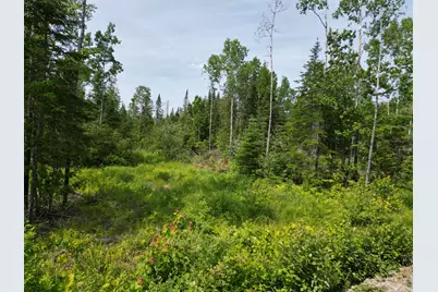 Lot 13 Chickadee Lane, Lowell, ME 04493 - Photo 1