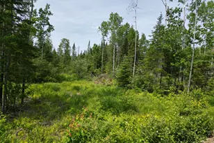 Lot 13 Chickadee Ln, Lowell, ME 04493 - Photo 1