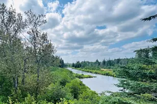 Lot 8 Dubay Pit Rd, ConnorTownship, ME 04736 - Photo 1