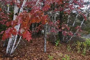 1910 Maine 193, Beddington, ME 04622 - Photo 1