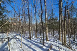 708 Webbs Mills Rd, Raymond, ME 04071 - Photo 1