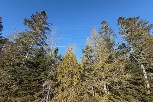 Lot 31 Gin Cove Rd, Perry, ME 04667 - Photo 1