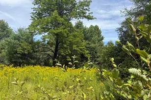 Lot 14 Dead River Rd, Bowdoin, ME 04287 - Photo 1