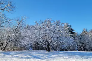 48 Macomber Mill Rd, Eastbrook, ME 04634 - Photo 1