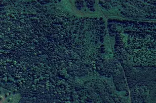 M 44 L21 Cyr Rd, Grand Isle, ME 04746 - Photo 1