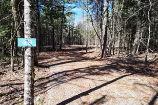 49 Glacier Ln, Northfield, ME 04654 - Photo 1