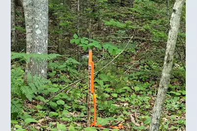 12 Matty Way, Franklin, ME 04634 - Photo 1