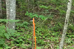 12 Matty Wy, Franklin, ME 04634 - Photo 1