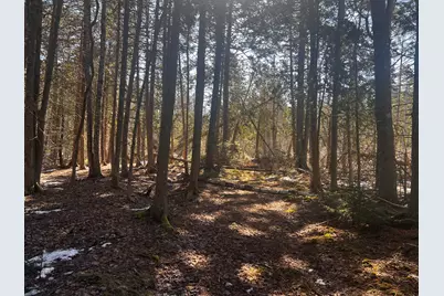 1148 Cape Rosier Road, Brooksville, ME 04617 - Photo 1