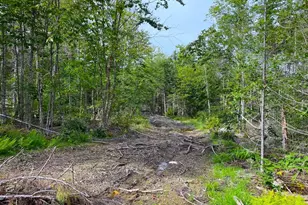 Lot128C Love Lake Rd, Crawford, ME 04694 - Photo 1