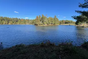 Map 10 Lot 68A Snows Pond Rd, Dover Foxcroft, ME 04426 - Photo 1