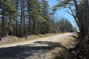Lot 018-00 Fisher Rd, Holden, ME 04429 - Photo 1