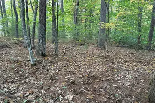 Lot 2093 Sunny Brook Circle, Waterboro, ME 04061 - Photo 1