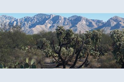 Tangerine & La Cholla Land - Photo 1