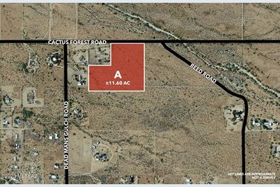 11Acres Cactus Forest &amp; N. Reed Road #A - Photo 1