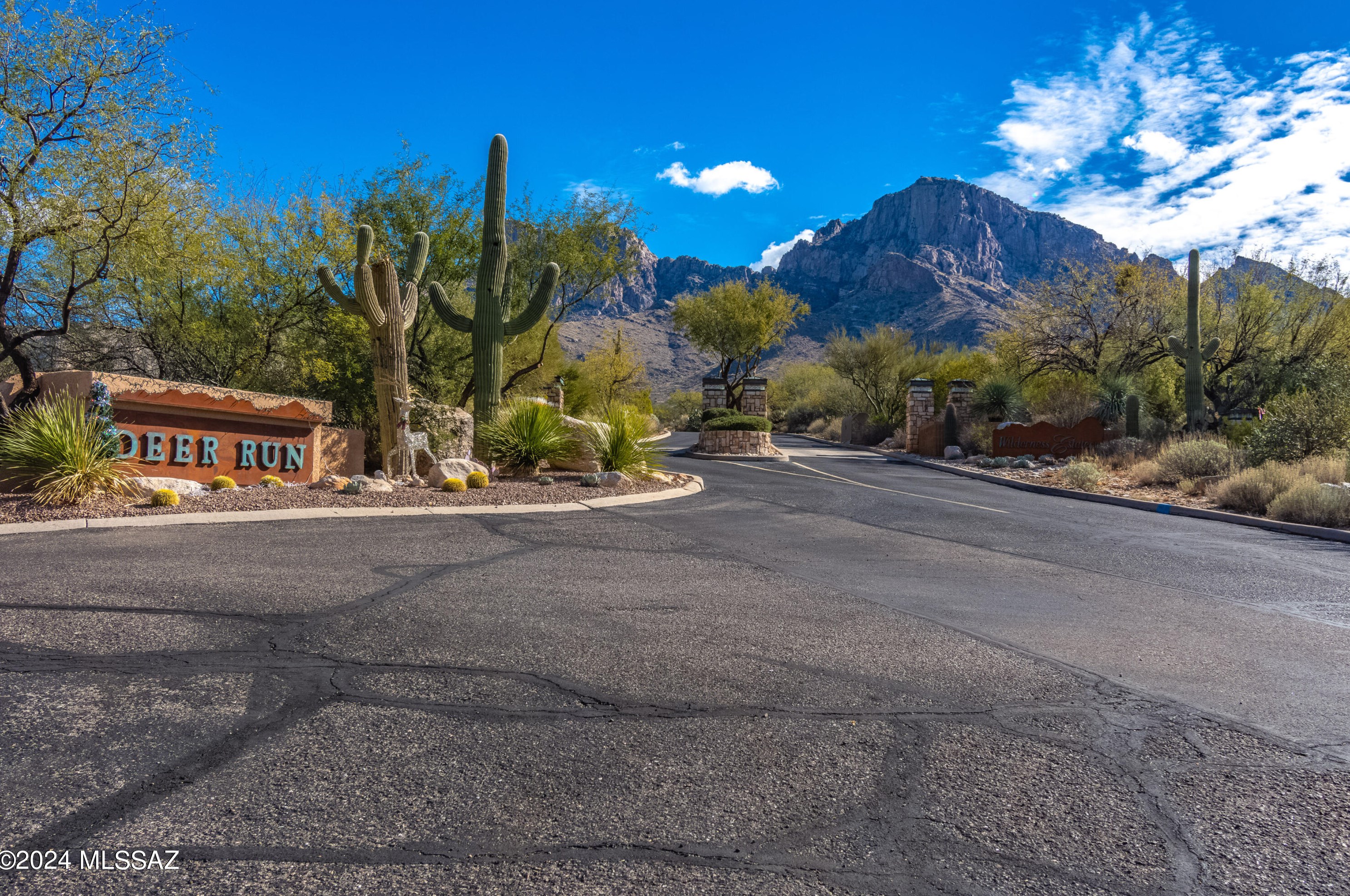 1765 Deer Shadow Ln, Tucson AZ  85737-9186 exterior