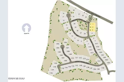 350 N Pecan Canyon Lane, Sahuarita, AZ 85629 - Photo 37