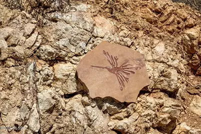 13716 Placita Del Inca #8, Tucson, AZ 85749 - Photo 27