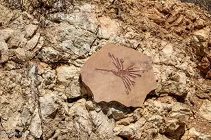 13716 Placita Del Inca, Tucson, AZ 85749 - Photo 27