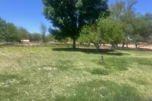 1855 W Patton St, Saint David, AZ 85630 - Photo 47