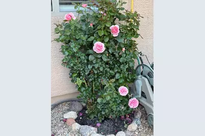 8449 S Gupta Drive, Tucson, AZ 85747 - Photo 43