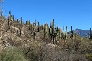 15175 Rincon Creek Ranch Rd, Tucson, AZ 85747 - Photo 1
