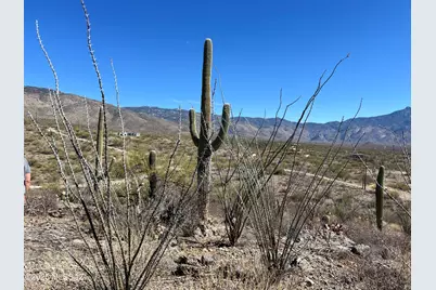 15175 Rincon Creek Ranch Road, Tucson, AZ 85747 - Photo 13