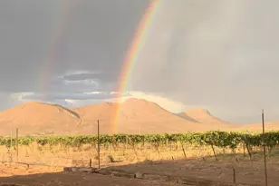 3516 E Fawn Ranch Rd, Pearce, AZ 85625 - Photo 17