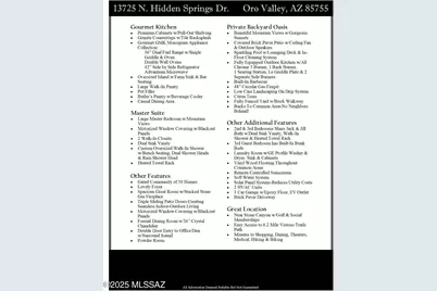 13725 N Hidden Springs Drive, Oro Valley, AZ 85755 - Photo 29