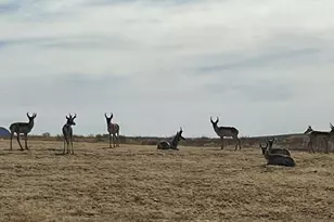 16 Star View Dr, Sonoita, AZ 85637 - Photo 27