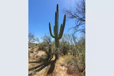 13147 T Bench Bar Place #3, Marana, AZ 85658 - Photo 9