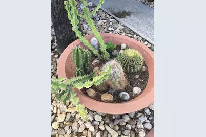 5251 E Mission Hill Drive #yucca 3, Tucson, AZ 85718 - Photo 19