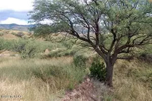 178 Tanglehead Ln, Patagonia, AZ 85624 - Photo 1