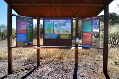 178 Tanglehead Lane #43, Patagonia, AZ 85624 - Photo 29