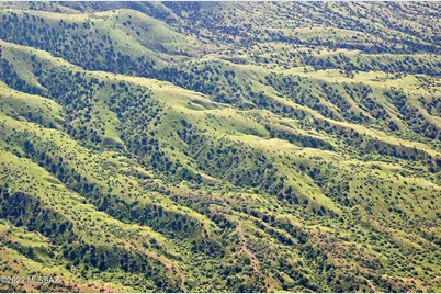 178 Tanglehead Lane #43, Patagonia, AZ 85624 - Photo 17