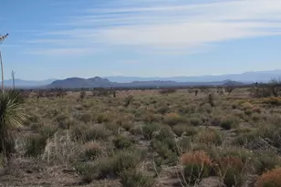 Tbd Central Rd (Corner Of Orange), Pearce, AZ 85625 - Photo 1