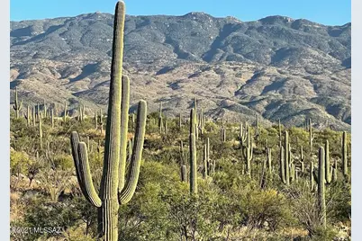 3051 Placita De Nazca #1, Tucson, AZ 85749 - Photo 1