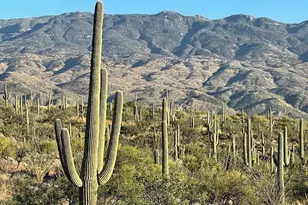 3051 Placita De Nazca, Tucson, AZ 85749 - Photo 1
