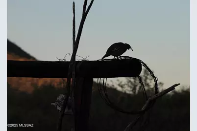 17047 S Sierrita Mountain Road, Tucson, AZ 85736 - Photo 27