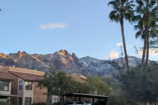 6651 N Campbell Ave, Tucson, AZ 85718 - Photo 33